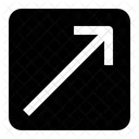 Diagonal Arrow Resize Icon