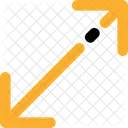 Diagonal Resize Arrows Icon