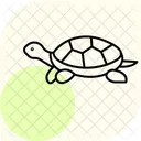 Diamondback Terrapin Diamondbackterrapin Reptile Icon