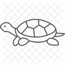 Diamondback Terrapin Diamondbackterrapin Reptile Icon