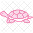 Diamondback Terrapin Icon