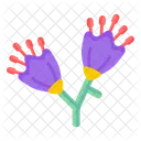 Dianella Flowers  Icon