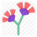 Dianella Flowers  Icon