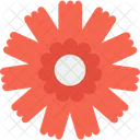 Dianthus Icon