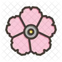 Dianthus Flower Blossom Icon