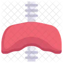 Diaphragm  Icon