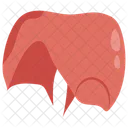 Diaphragm Respiration Thorax Icon