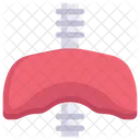 Anatomy Organ Biology Icon