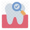 Diente Revision Dental Dentista Icono