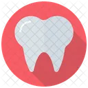 Estomatologo Diente Caries Icon