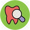 Diente Dental Lupa Icono