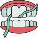 Dientes Hilo Dental Odontologia Icono