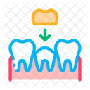 Estomatologia Diente Corona Icono