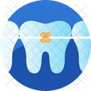 Dental Brackets Ortodoncia Icon