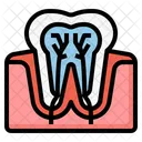 Nervio de los dientes  Icono