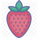 Diet Food Fruit Icon