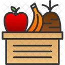 Diet Food Healthy Icon