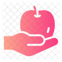 Diet Fruit Apple Icon