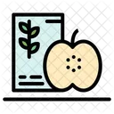Diet Chart  Icon