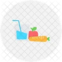 Diet Food  Icon