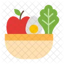 Diet Food Food Healthy Icon