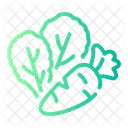 Diet Food Apple Organic Icon