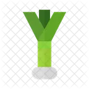 Vegetable Food Healthy Icon