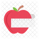 Diet Apple Fruit Icon