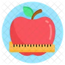 Fruit Diet Diet Healthy Diet Icon
