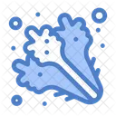 Diet Salad Food Icon