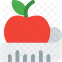 Diet Fitness Exercise Icon
