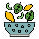 Healthy Food Dietary Icon