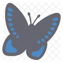 Different Style of Cute Dark Grey Butterfly  Icon