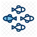 Different Way  Icon