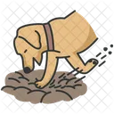 Dig  Icon