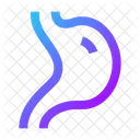 Digestion Icon