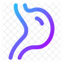 Digestion Icon