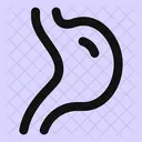 Digestion Icon