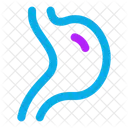 Digestion Icon