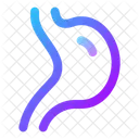 Digestion Icon