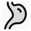 Digestion Icon