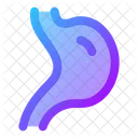 Digestion Icon