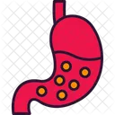 Digestion Icon