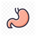 Digestion Stomach Getroenterology Icon