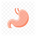 Digestion Stomach Getroenterology Icon