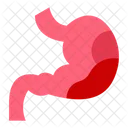 Digestion  Icon