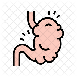 Digestion System Icon - Download in Colored Outline Style