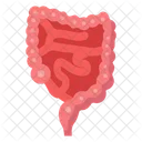 Digestive organ  Icon