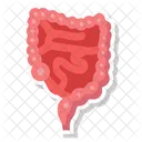 Digestive Organ Gut Bowel アイコン