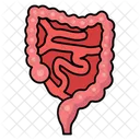 Digestive Organ Gut Bowel Icon
